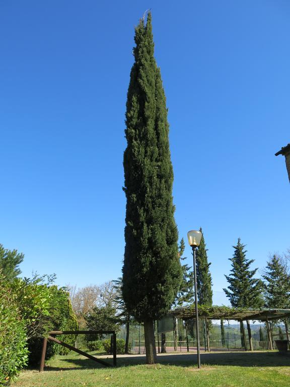 Agriturismo Il Palagetto Pomarance Exterior foto