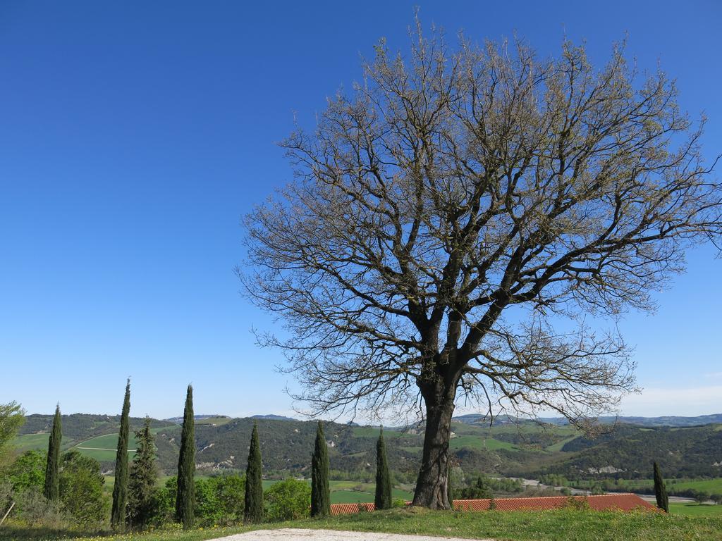 Agriturismo Il Palagetto Pomarance Exterior foto